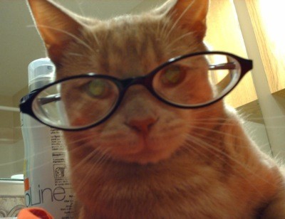 Tigger in reading glasses.