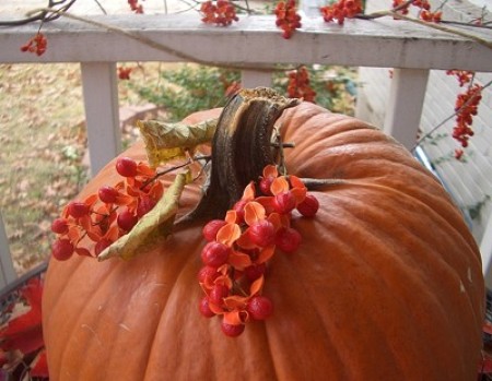 A pumpkin decorated with bittersweet.