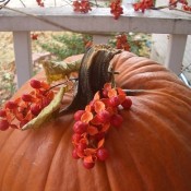 A pumpkin decorated with bittersweet.