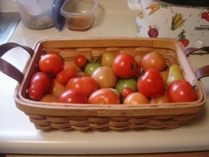 unripe tomatoes