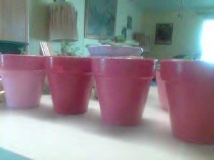 Valentine Painted Flowerpots