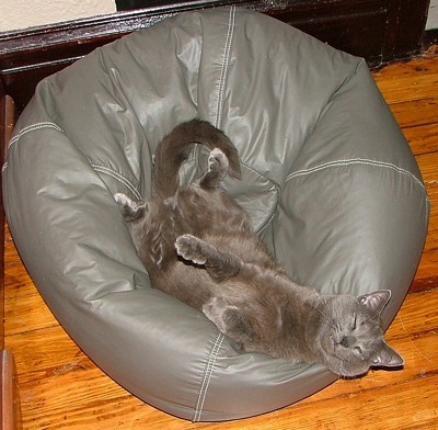 Lying upside down on a bean bag chair.