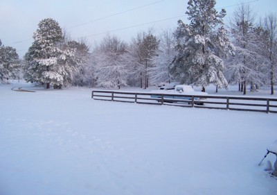 Snowy Fence (South Carolina)