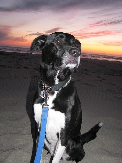 Mason at the beach with sunset behind him.