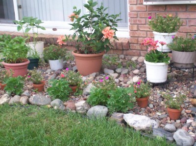 Display Rock Collection In Garden