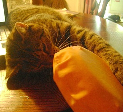 Tiger with his whoopie cushion.