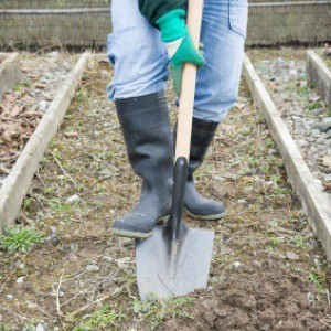 Digging a garden.