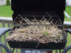 Keeping Birds from Nesting in a BBQ Grill