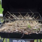 Keeping Birds from Nesting in a BBQ Grill