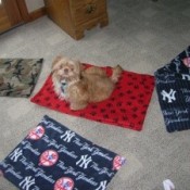 how do you make a fleece dog blanket