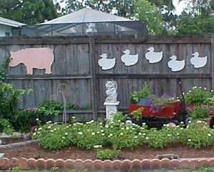 Pig and ducks on fence.
