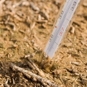 Thermometer in soil.