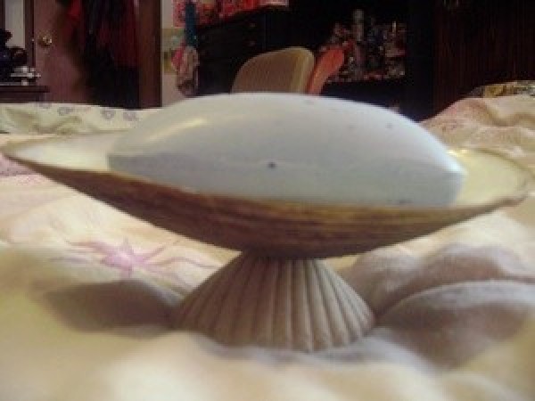 Seashell soap dish with a bar of soap.