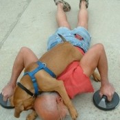 Dog on man's back as he exercises.