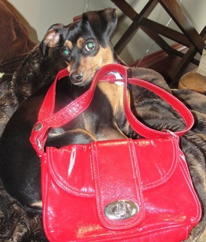 Ava and red purse.