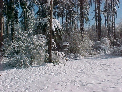 Snowcovered birdfeeder across the yard.