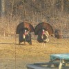 Two wild turkeys in a backyard.