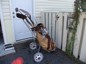 garden tools in golf cart