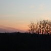 sunset with bare trees