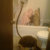 A DIY clothes dryer in a shower.
