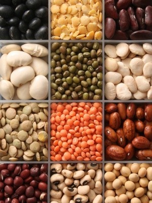 variety of dry beans