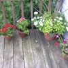Deck Flowerpots