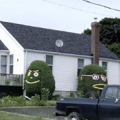 Hedge People