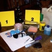 contents of CSI kit