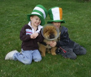 Two boys in St. Patrick tophats with a dog.