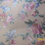 Brewster's Wallpaper #74745