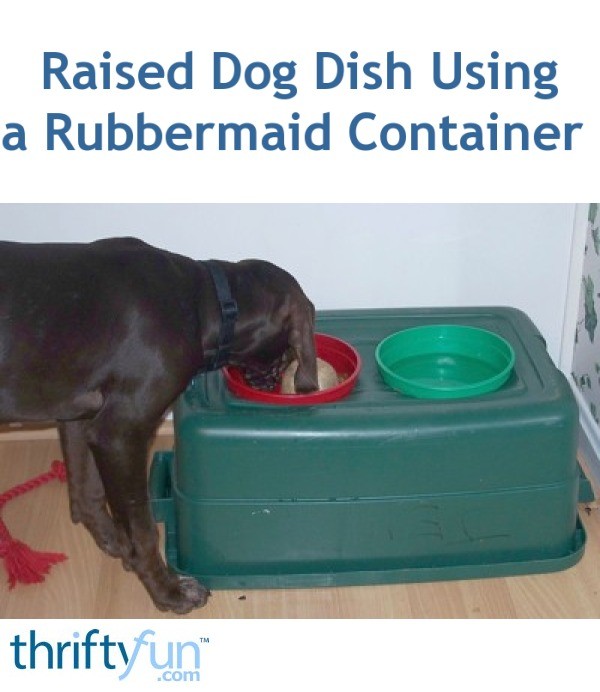 Raised Dog Dish Using a Rubbermaid Container ThriftyFun