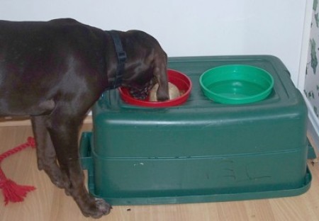 Raised Dog Dish Using Rubbermaid Container