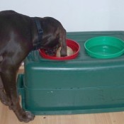 Raised Dog Dish Using Rubbermaid Container