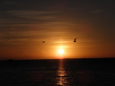 Sunset (Key West, FL)