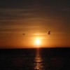 Sunset (Key West, FL)