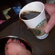 Pouring coffee from a Starbucks cup.