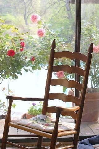 Roses behind rocking chair.