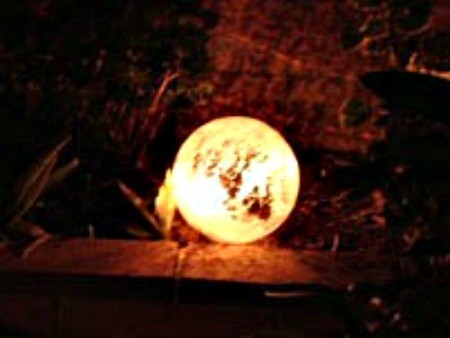 A lighted gazing ball in a garden.
