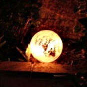 A lighted gazing ball in a garden.