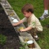 Grandson Playing in the Garden