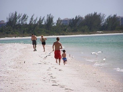 PEople walking on the Beach (Florida)