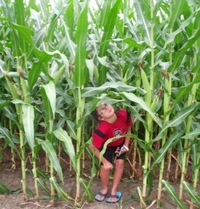 Child in cornfield.