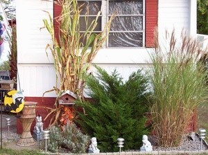 Fall decorations in yard.