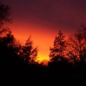 Red and orange sunset.