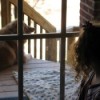 dogs on porch