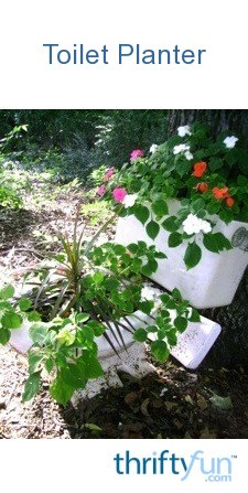 Garden: Toilet Planter | ThriftyFun