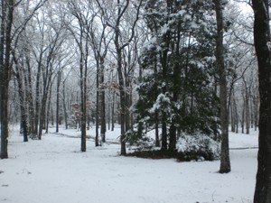 Snow in Texas