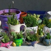 various containers and pots