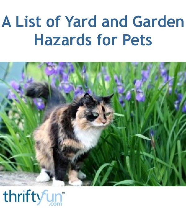 A List of Yard and Garden Hazards for Pets ThriftyFun