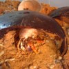 Purple Claw Crab